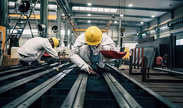 Şereflikoçhisar Akrep İlaçlama